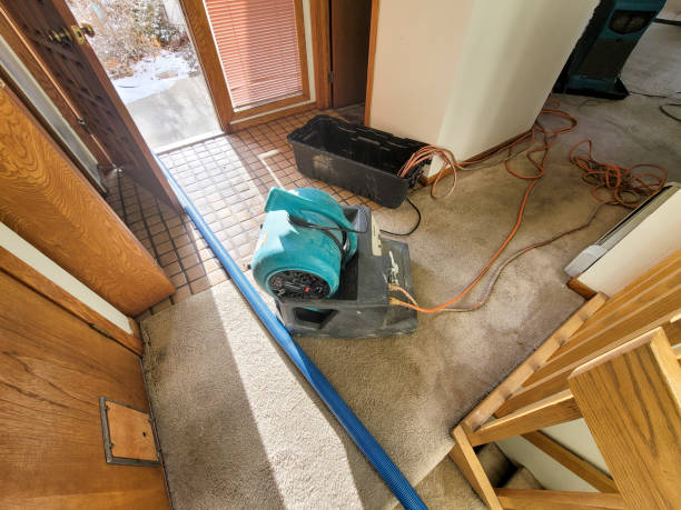 Best Fire Damage Restoration  in Northern Cambria, PA