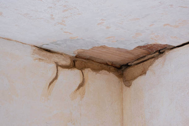 Best Ceiling water damage repair  in Northern Cambria, PA