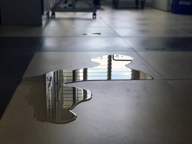 Best 24/7 water damage repair  in Northern Cambria, PA