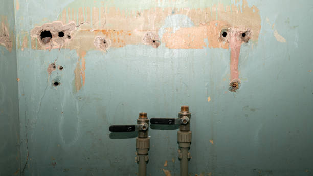 Best 24-hour water damage restoration  in Northern Cambria, PA