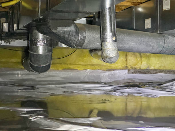 Best Water damage restoration mold remediation  in Northern Cambria, PA