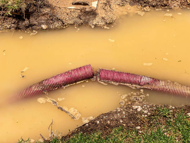  Northern Cambria, PA Water damage restoration Pros