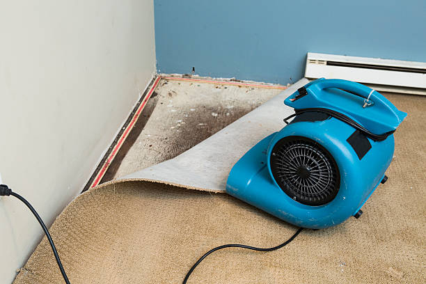 Best Professional water damage repair  in Northern Cambria, PA