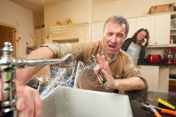 Best Flooded house restoration  in Northern Cambria, PA